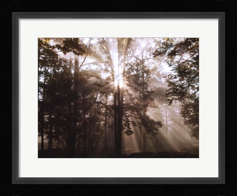 Framed New Day II Print