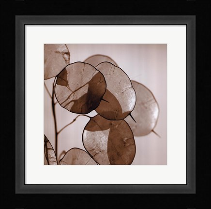 Framed Silver Dollars Print