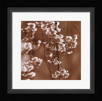 Framed Cherry Blossom Print