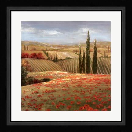 Framed Tuscan Cypress II Print