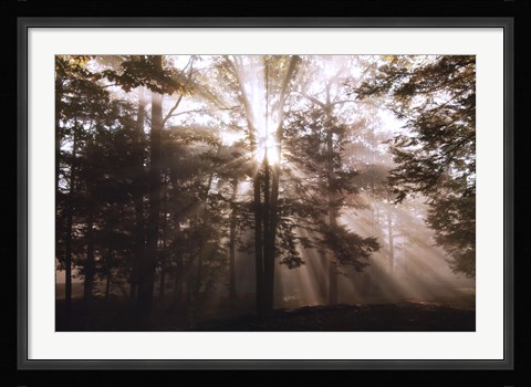 Framed New Day II Print