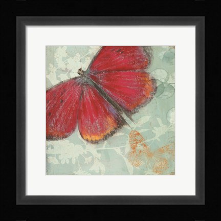 Framed In Flight II Print