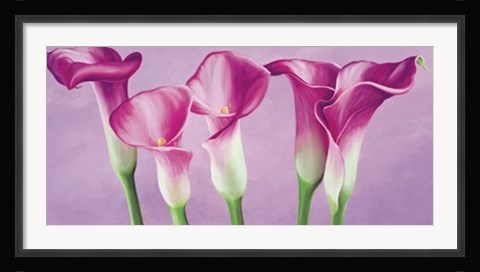 Framed Calle in fiore Print