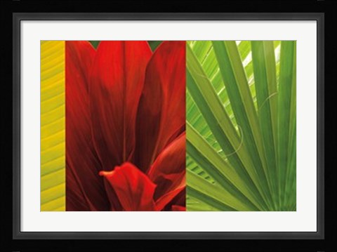 Framed Tropical Treasure II Print