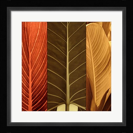 Framed Tropical Trio I Print