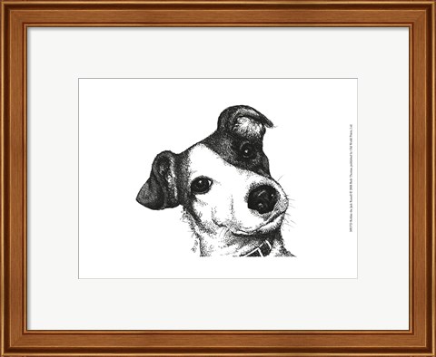 Framed Robbie the Jack Russell Print