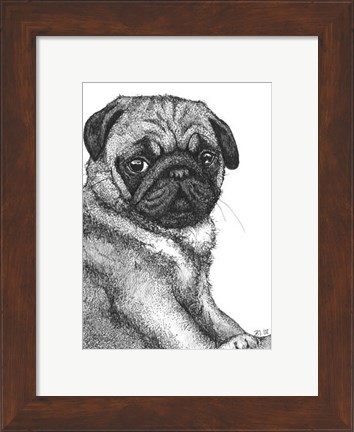Framed Ralph the Pug Print