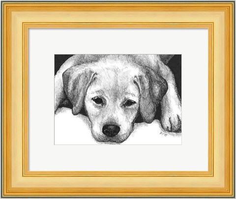 Framed Kailie the Yellow Lab Print