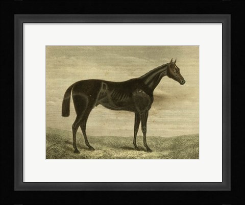 Framed Pretender Print