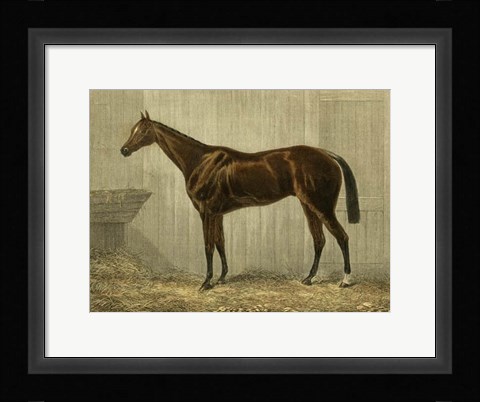 Framed Blue Crown Print