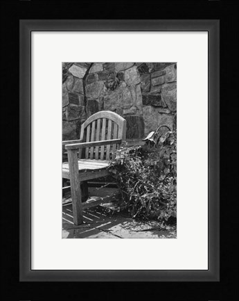 Framed Garden Respite II Print