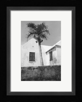 Framed Bermuda Shade Print
