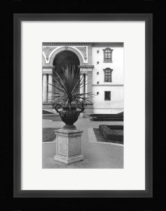 Framed Royal Urn II Print