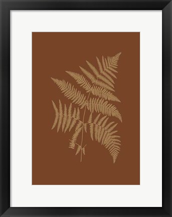 Framed Sepia Ferns on Brick (WG) III Print