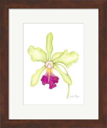 Framed Small Orchid Beauty III (U) Print