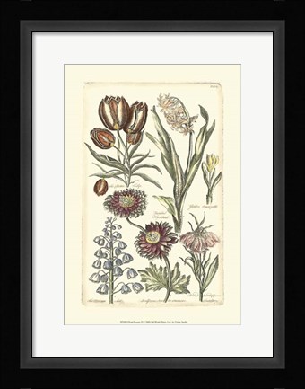 Framed Floral Bounty II Print