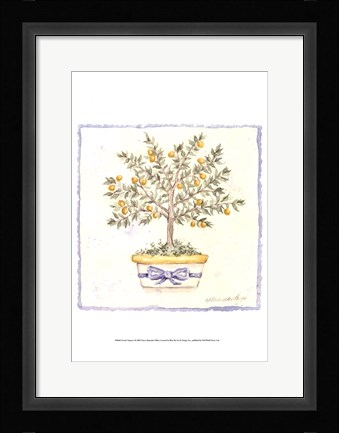 Framed French Topiary I Print