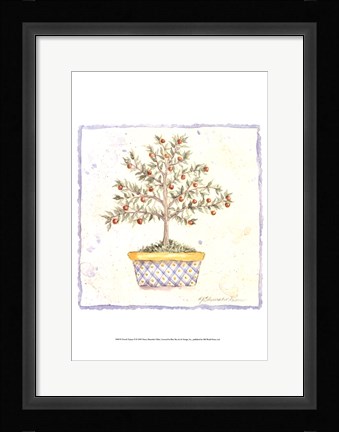 Framed French Topiary II Print
