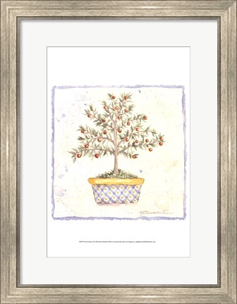 Framed French Topiary II Print