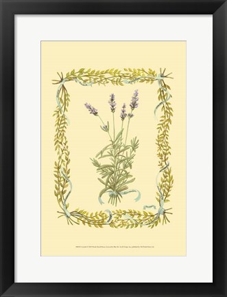 Framed Lavender Print