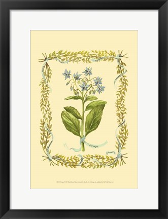 Framed Borage Print