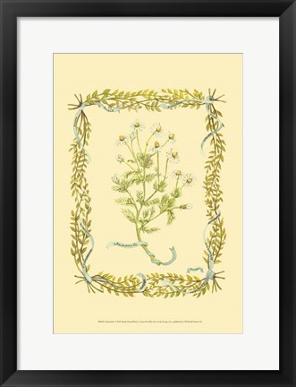 Framed Chamomile Print