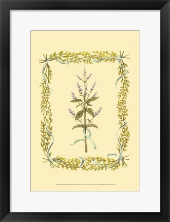 Framed Peppermint Print