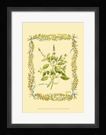 Framed Basil Print