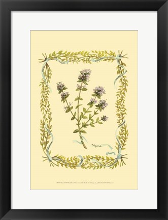 Framed Thyme Print