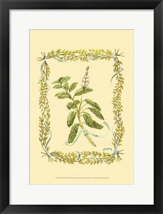 Framed Sage Print