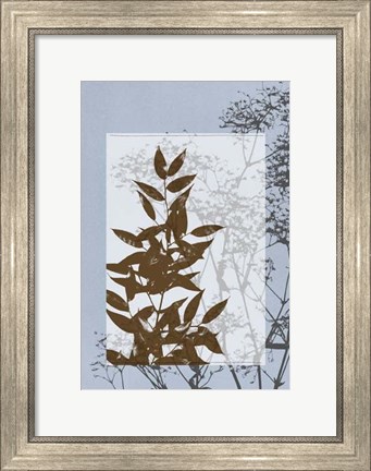Framed Sm Translucent Wildflowers V Print