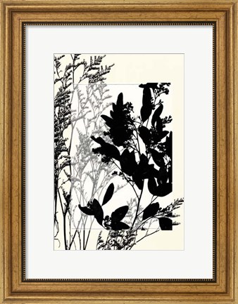 Framed Sm Translucent Wildflowers X Print