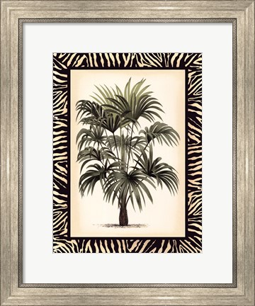 Framed Small Palm in Zebra Border I Print