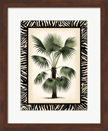 Framed Small Palm in Zebra Border II Print