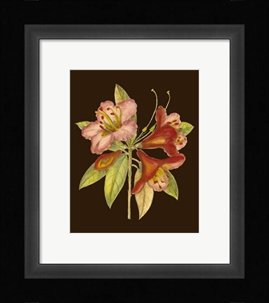 Framed Crimson Blooms I Print