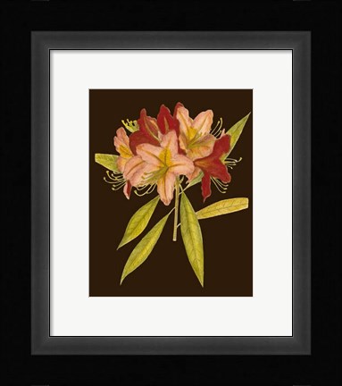 Framed Crimson Blooms III Print