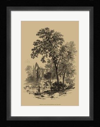 Framed Ash Tree Print