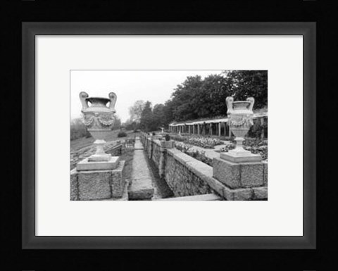 Framed Garden Elegance III Print
