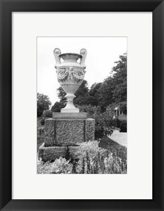 Framed Garden Elegance V Print