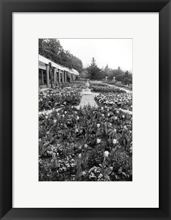 Framed Garden Elegance VIII Print