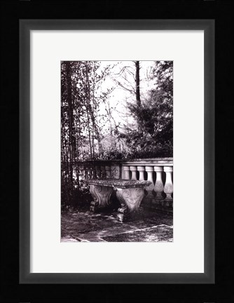 Framed Garden Grace III Print