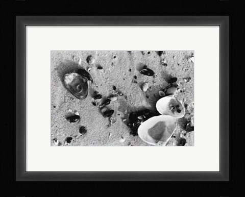 Framed Sand Treasures I Print