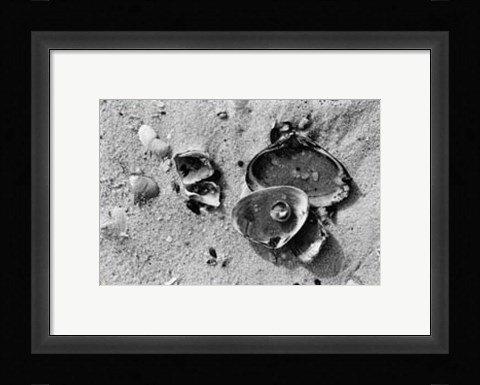 Framed Sand Treasures II Print