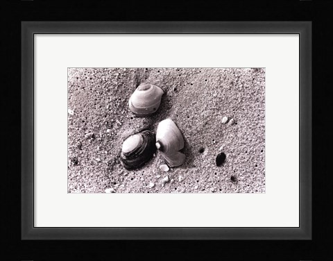 Framed Sand Treasures V Print