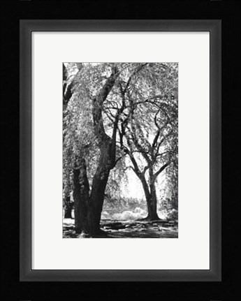 Framed Summer Shade III Print