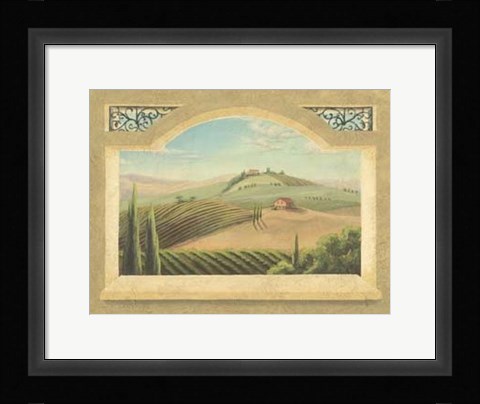 Framed Vineyard Window III Print