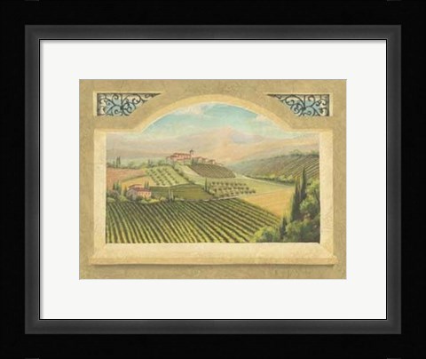 Framed Vineyard Window IV Print
