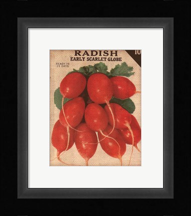 Framed Heirloom Variety I Print