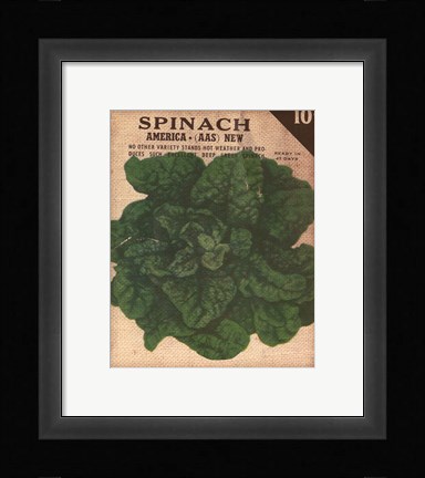 Framed Heirloom Variety VI Print