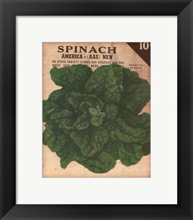 Framed Heirloom Variety VI Print